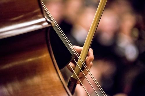 A cello being bowed at a concert.